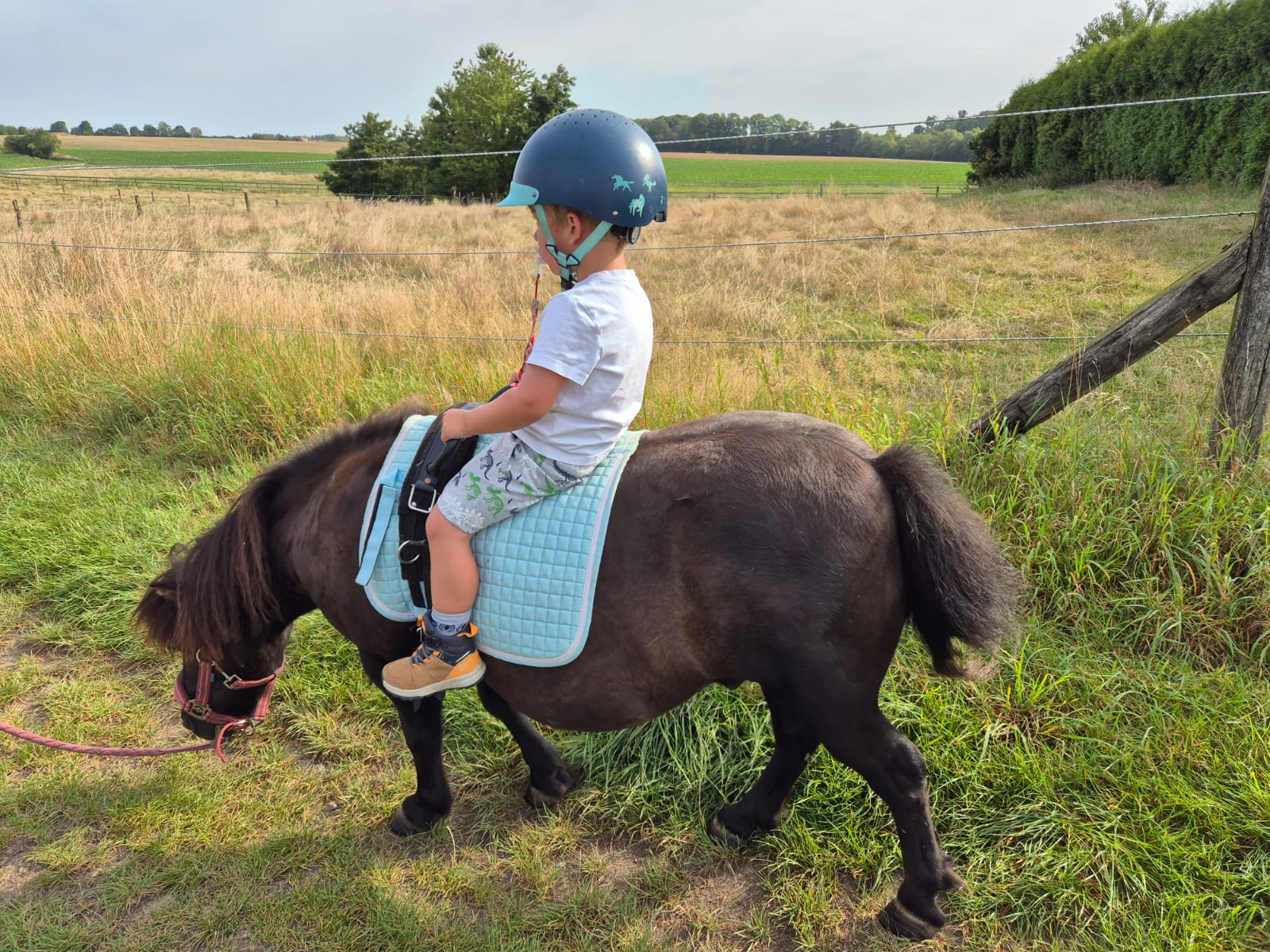 Ateliers et stages — découverte du cheval, Au Rythme des sabots