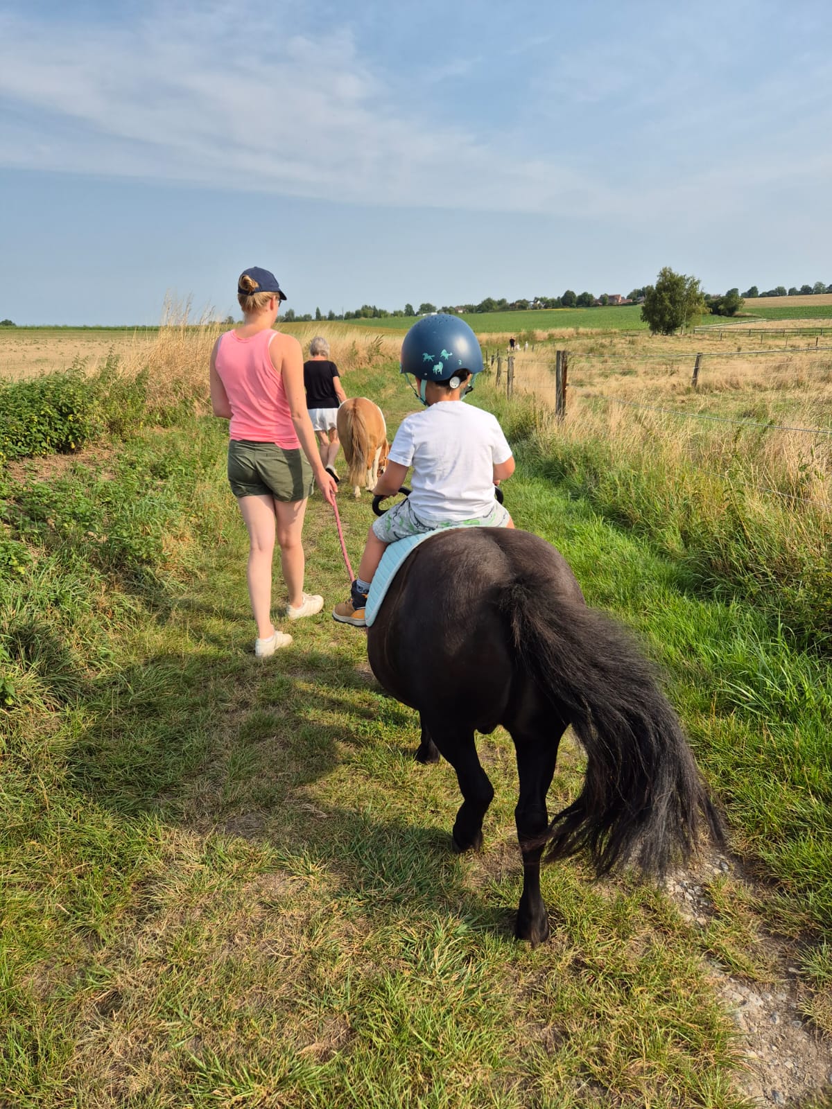 Ateliers et stages — découverte du cheval, Au Rythme des sabots