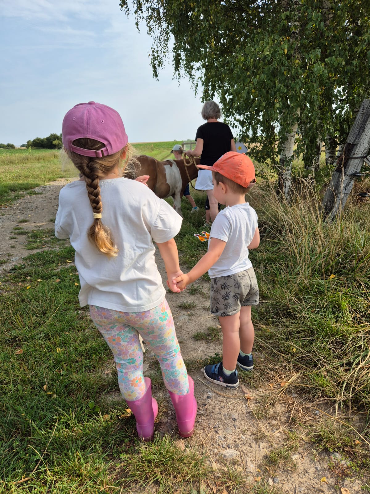 Ateliers et stages — découverte du cheval, Au Rythme des sabots