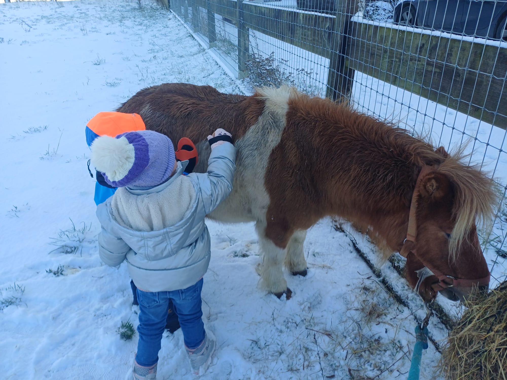 Ateliers et stages — découverte du cheval, Au Rythme des sabots